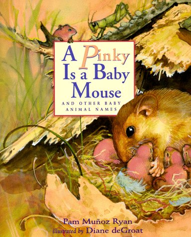 A Pinky is a Baby Mouse by Pam Munoz Ryan